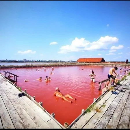 Viriks 3* Бургас