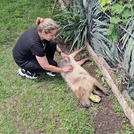 Viriks Мини-отель Бургас