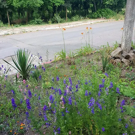 Viriks Мини-отель