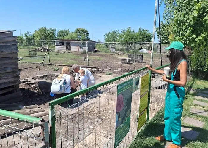 Värdshus Viriks Burgas