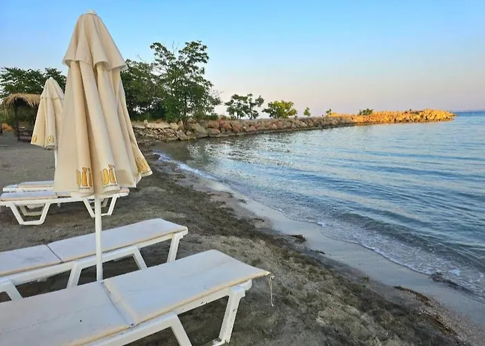 Viriks Värdshus Burgas