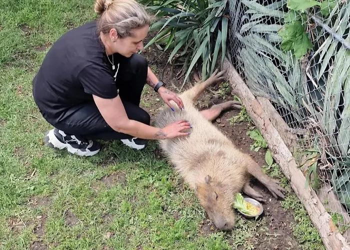 Viriks Värdshus Burgas